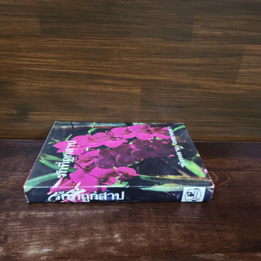 รักที่ถูกสาป เล่ม 2 - รุ้งพลาย เพชรลดา รูปที่ 2