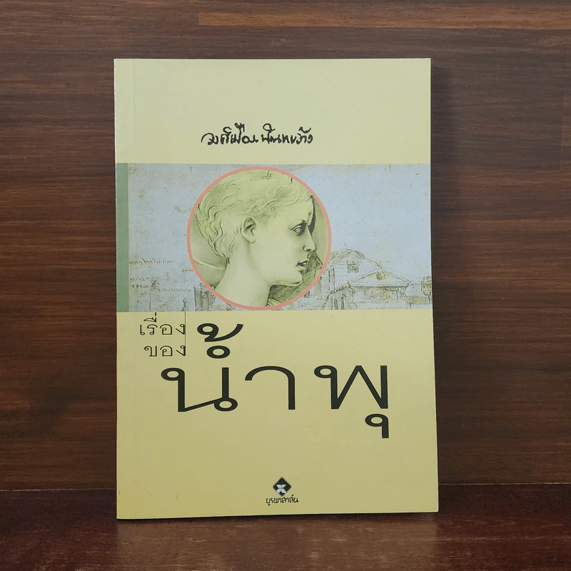 เรื่องของน้ำพุ - วงศ์เมือง นันทขว้าง รูปที่ 1
