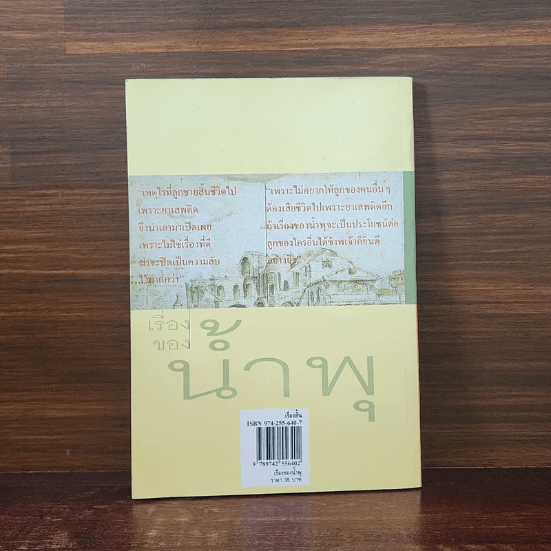 เรื่องของน้ำพุ - วงศ์เมือง นันทขว้าง รูปที่ 6