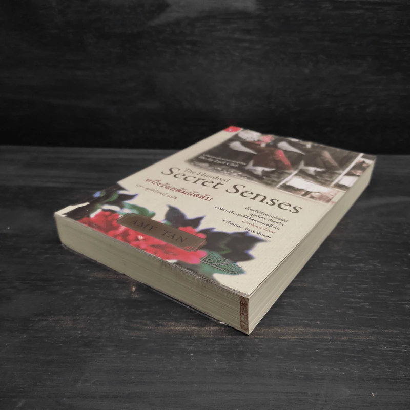 หนึ่งร้อยสัมผัสลับ The Hundred Secret Senses - Amy Tan รูปที่ 4