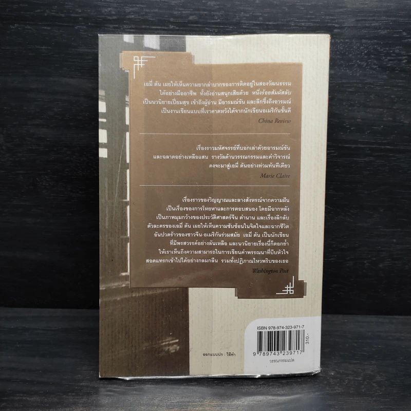 หนึ่งร้อยสัมผัสลับ The Hundred Secret Senses - Amy Tan รูปที่ 2