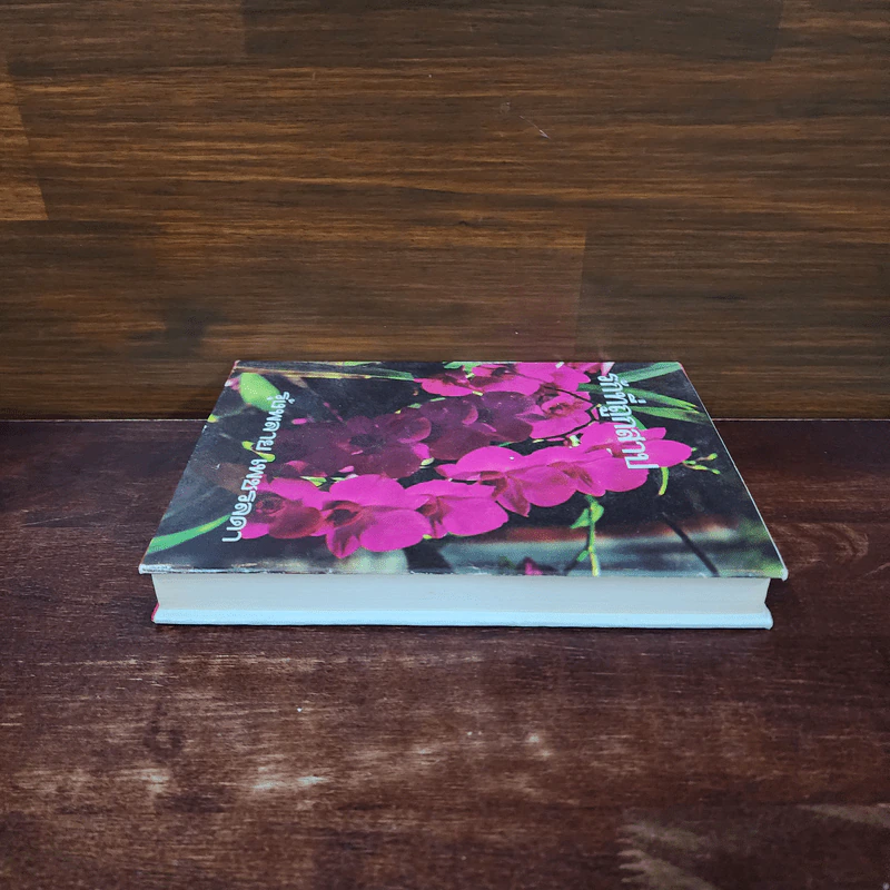 รักที่ถูกสาป เล่ม 2 - รุ้งพลาย เพชรลดา รูปที่ 3