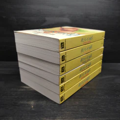 ศิวา-ราตรี 6 เล่มจบ Boxset - พนมเทียน รูปที่ 7