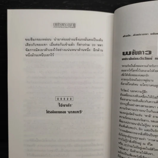 Box Set เพชรพระอุมา ตอน ไอ้งาดำ - พนมเทียน รูปที่ 9