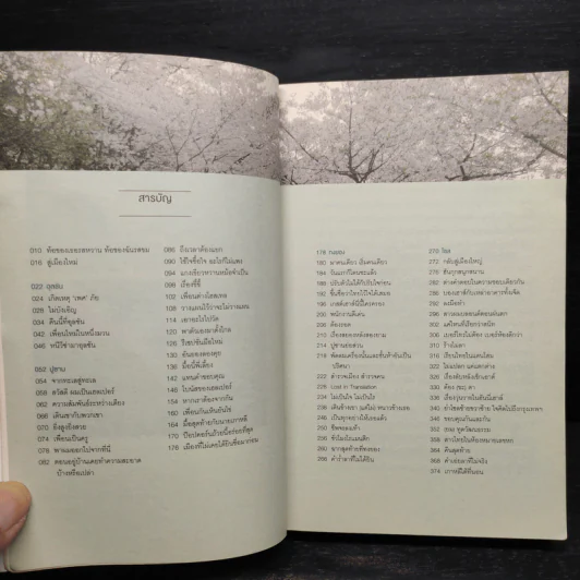 เกาหลีใต้ที่นอน - นัท ศุภวาที รูปที่ 5