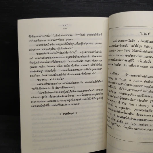 หน้าต่างในเงาเมฆ - นายา รูปที่ 7