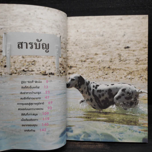 คิตตี้ขึ้นรถไฟเที่ยว การผจญภัยของสองสาว 1 คนกับ 1 ตัว รูปที่ 6