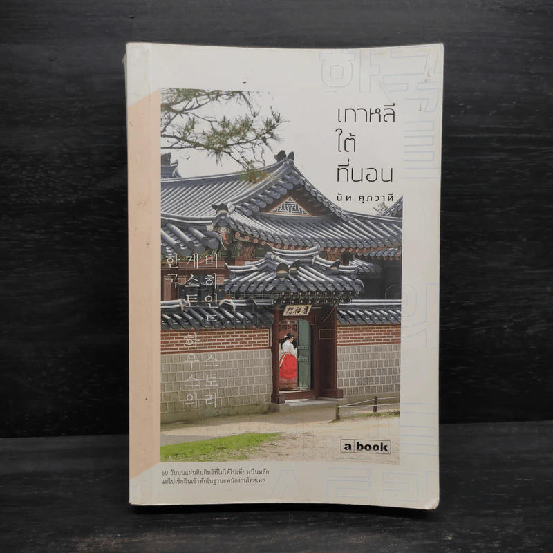 เกาหลีใต้ที่นอน - นัท ศุภวาที รูปที่ 1