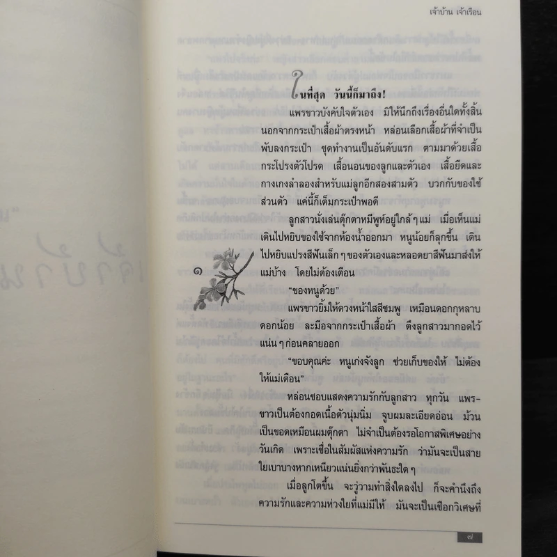 เจ้าบ้าน เจ้าเรือน - แก้วเก้า รูปที่ 6