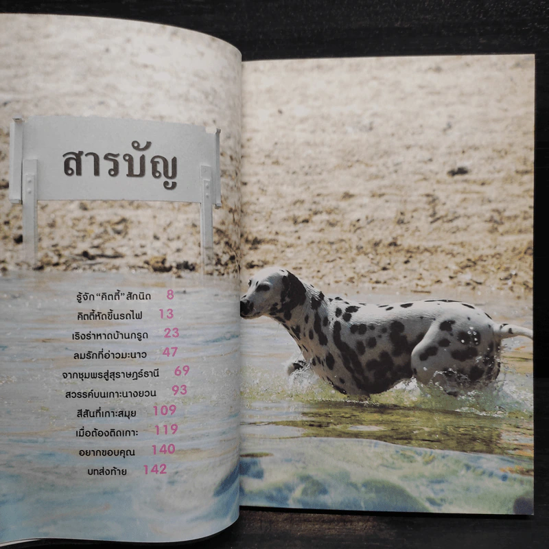 คิตตี้ขึ้นรถไฟเที่ยว การผจญภัยของสองสาว 1 คนกับ 1 ตัว รูปที่ 6