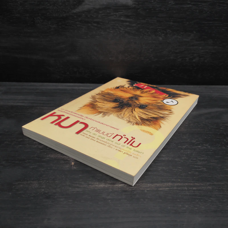 หมาทำแบบนี้ทำไม? - Gina Spadafori รูปที่ 4