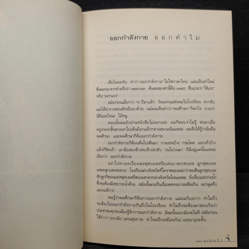 เตะสุดชีวิต - สาทิส อินทรกำแหง รูปที่ 7