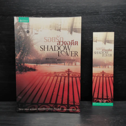 SHADOW LOVER รอยรักลวงอดีต - แอนน์ สจ๊วร์ต รูปที่ 1