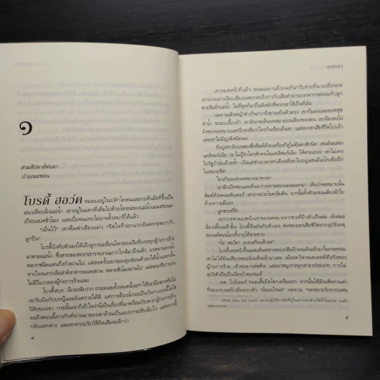หลงเงา - แมรีล ซอว์เยอร์ รูปที่ 8