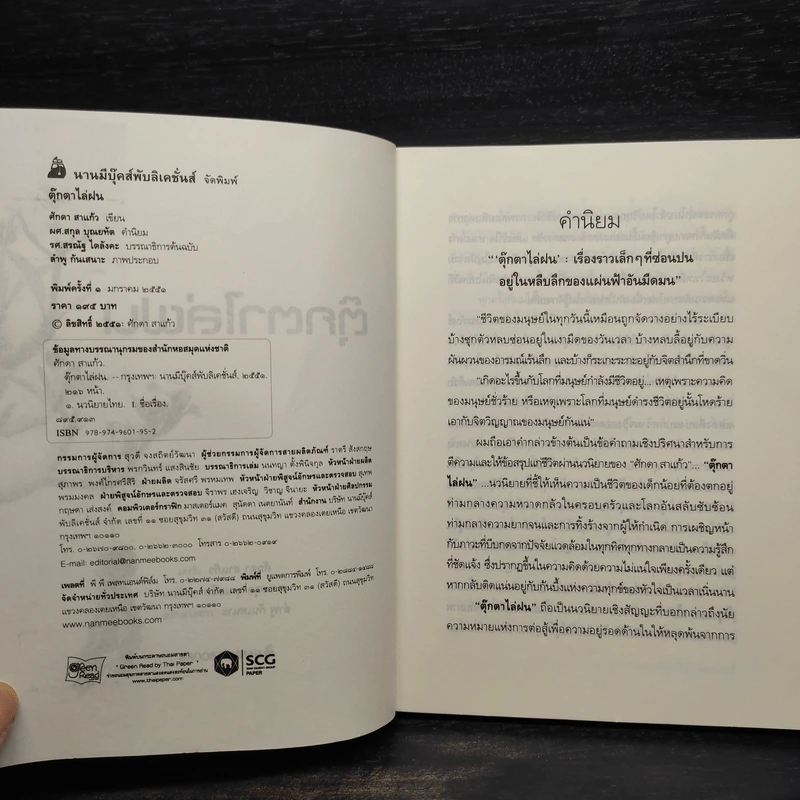ตุ๊กตาไล่ฝน - ศักดา สาแก้ว รูปที่ 5
