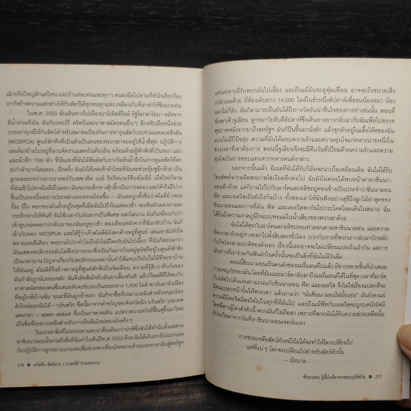 ซินนามอน ผู้ลี้ภัยสี่ขาจากสมรภูมิอัฟกัน - คริสติน ซิลลิแวน รูปที่ 6