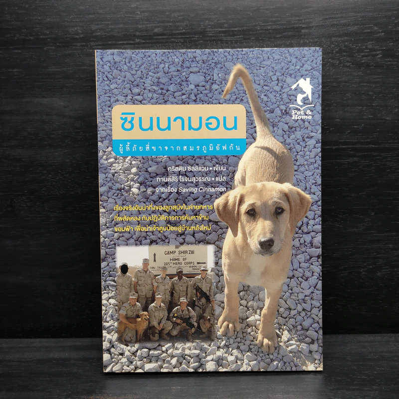 ซินนามอน ผู้ลี้ภัยสี่ขาจากสมรภูมิอัฟกัน - คริสติน ซิลลิแวน รูปที่ 1