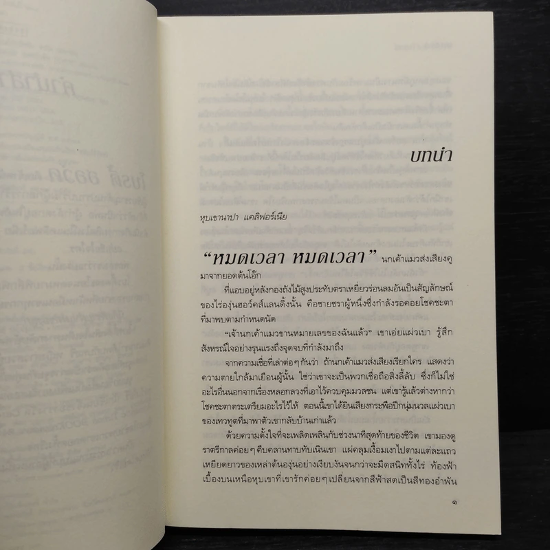 หลงเงา - แมรีล ซอว์เยอร์ รูปที่ 7