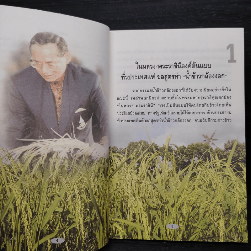 ข้าวกล้องงอก สูตรน้ำข้าวกล้องขึ้นโต๊ะเสวย รูปที่ 6