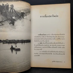 ปลาเศรษฐกิจ คู่ชีวิตคนไทย - สุทธิชัย ปทุมล่องทอง รูปที่ 7