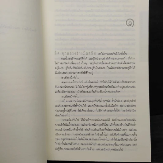 เกาะลับแล Island Bones - พี.เจ.พาร์ริช รูปที่ 6