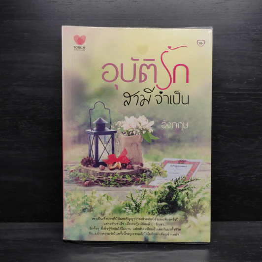 อุบัติรักสามีจำเป็น - อังกฤษ รูปที่ 1