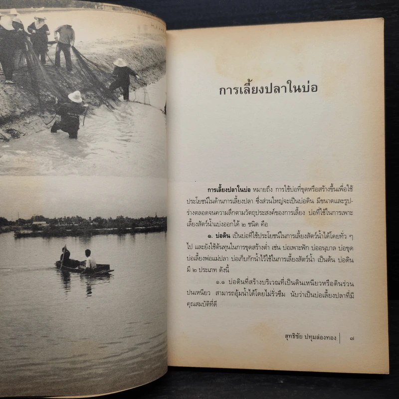 ปลาเศรษฐกิจ คู่ชีวิตคนไทย - สุทธิชัย ปทุมล่องทอง รูปที่ 7