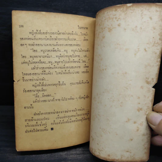 ผีผู้หญิง - ใบหนาด รูปที่ 6