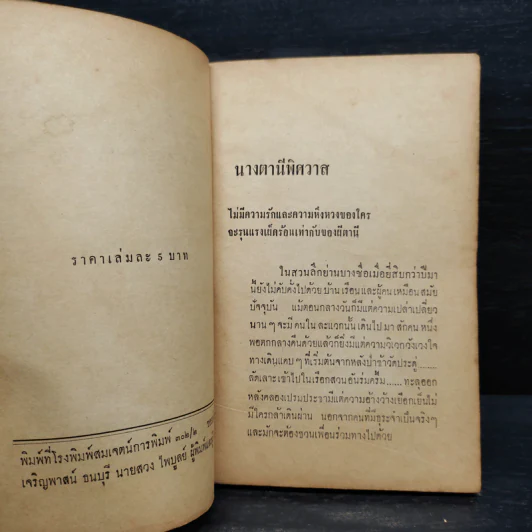 ผีผู้หญิง - ใบหนาด รูปที่ 5