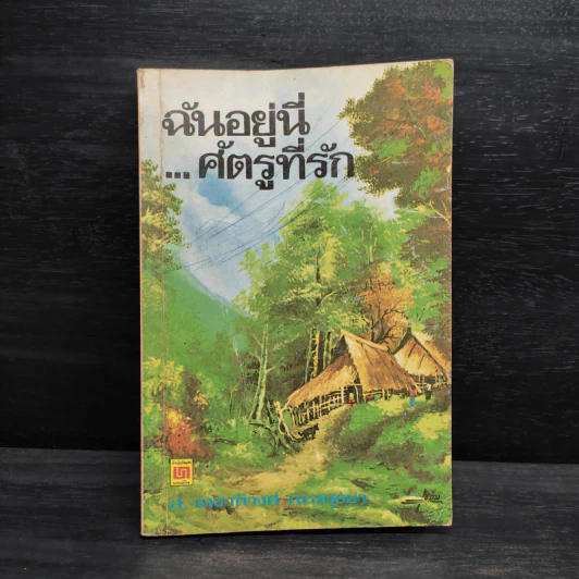 ฉันอยู่นี่ศัตรูที่รัก  - ส.เดชาติวงศ์ ณ อยุธยา รูปที่ 1
