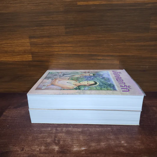เด็ดดอกรัก 2 เล่มจบ - โสภาค สุวรรณ รูปที่ 3