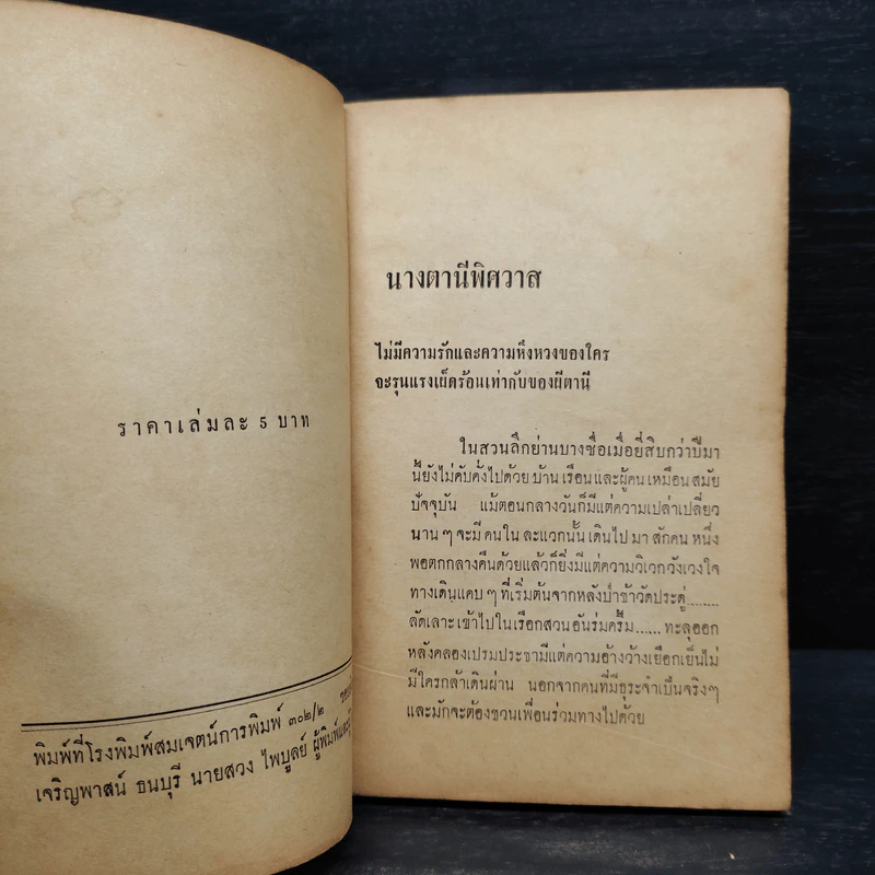 ผีผู้หญิง - ใบหนาด รูปที่ 5