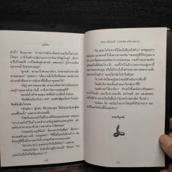 แม่โขง - ปองพล อดิเรกสาร รูปที่ 8