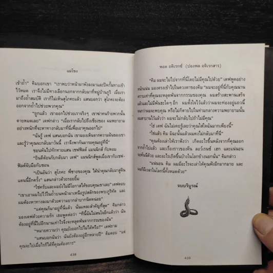แม่โขง - ปองพล อดิเรกสาร รูปที่ 8