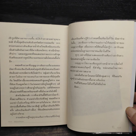 ดอกรักกลางสายลมหนาว - ไพฑูรย์รัมภา รูปที่ 7