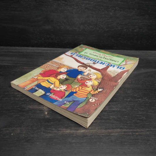 ชุด หกสหายไขปริศนา เล่ม 2 ตามรอยแมวหาย รูปที่ 4