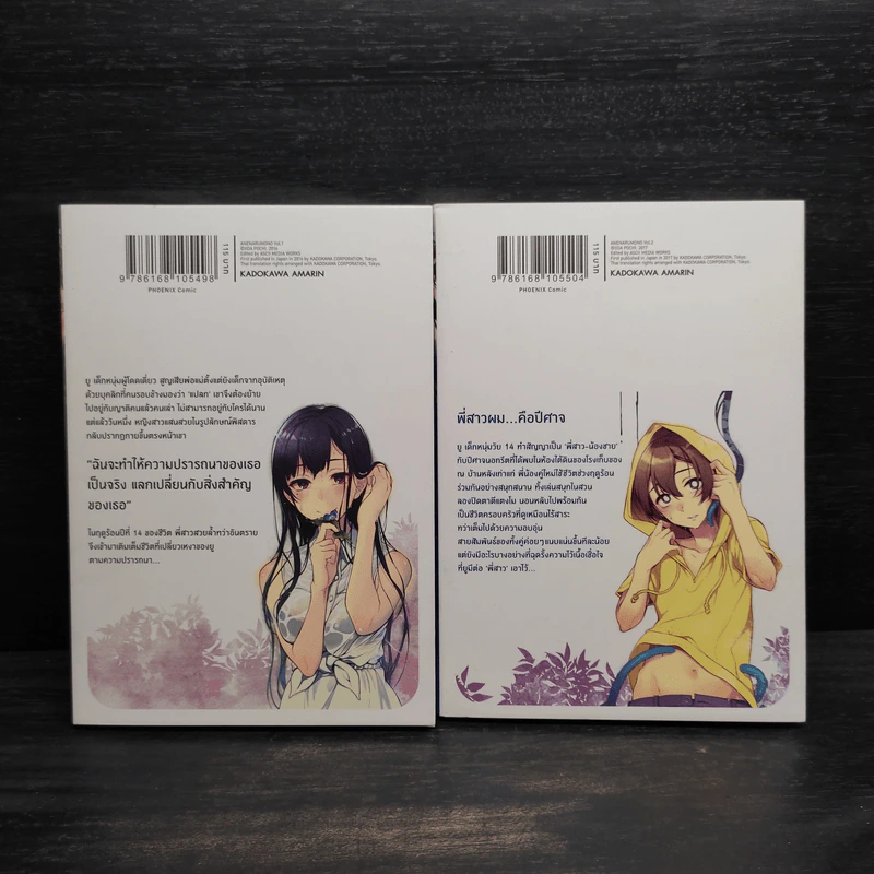 ปีศาจพี่สาวกับเรื่องราวฤดูร้อนของผม เล่ม 1-2 รูปที่ 2