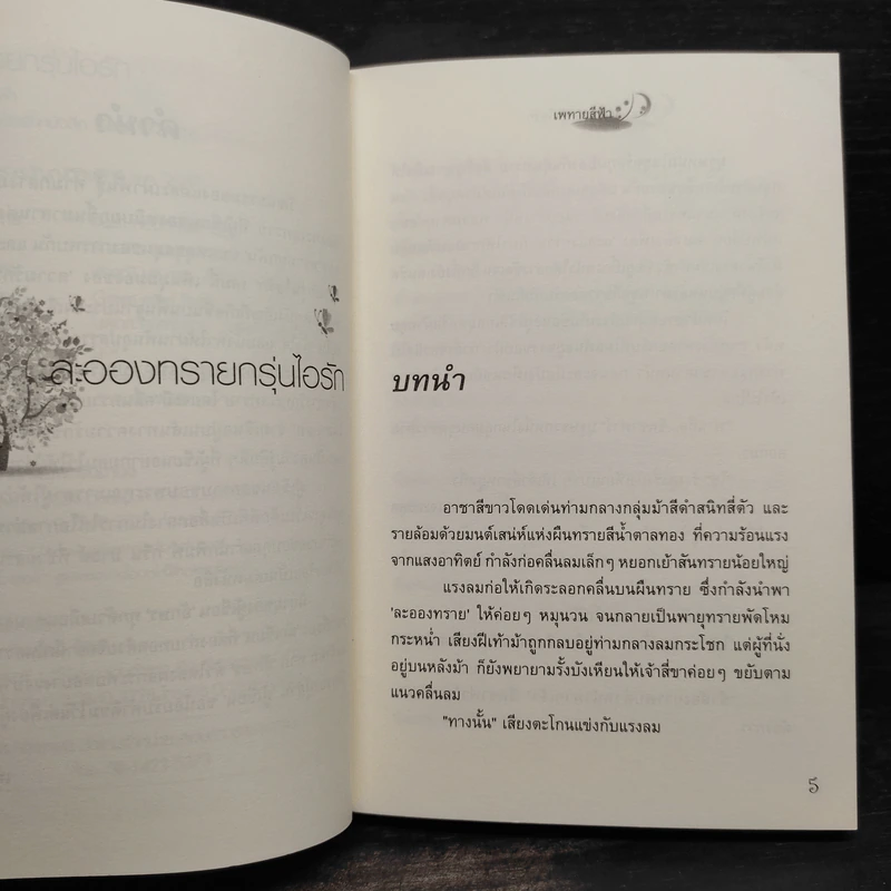 ละอองทรายกรุ่นไอรัก - เพทายสีฟ้า รูปที่ 6