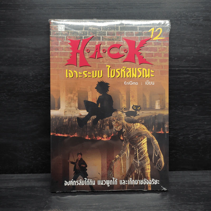 H.A.C.K เจาะระบบไขรหัสมรณะ เล่ม 12 - EniGma รูปที่ 1