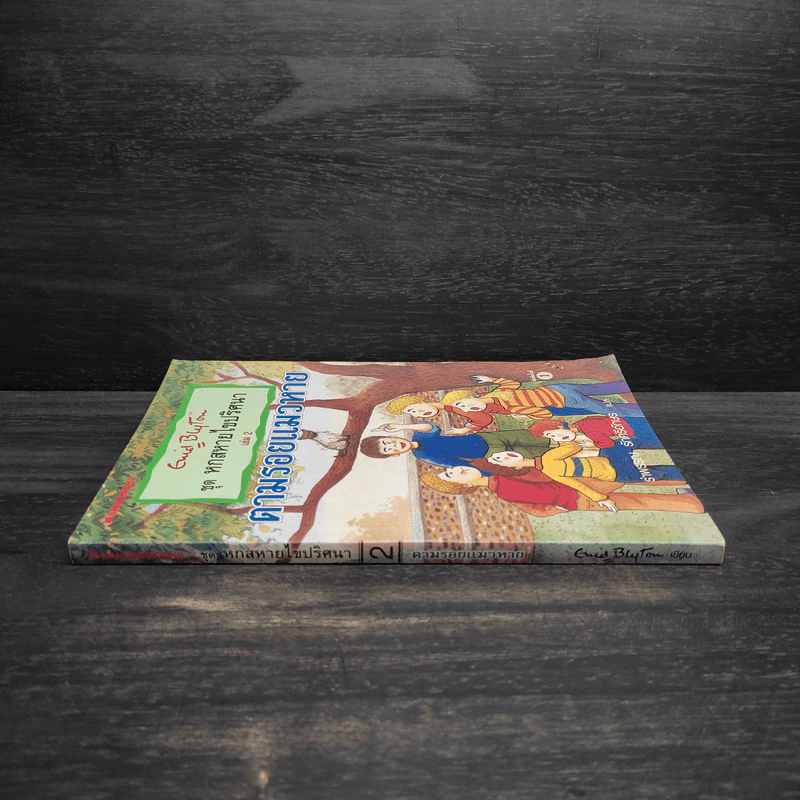 ชุด หกสหายไขปริศนา เล่ม 2 ตามรอยแมวหาย รูปที่ 3