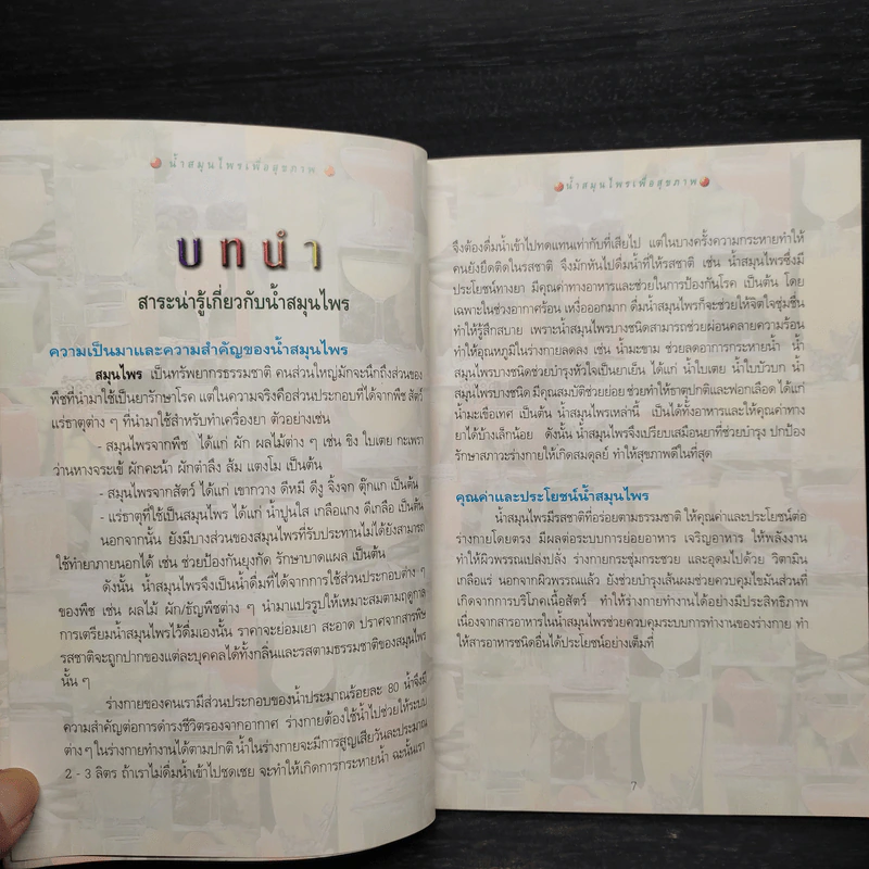 น้ำสมุนไพรไทยเพื่อสุขภาพ รูปที่ 6