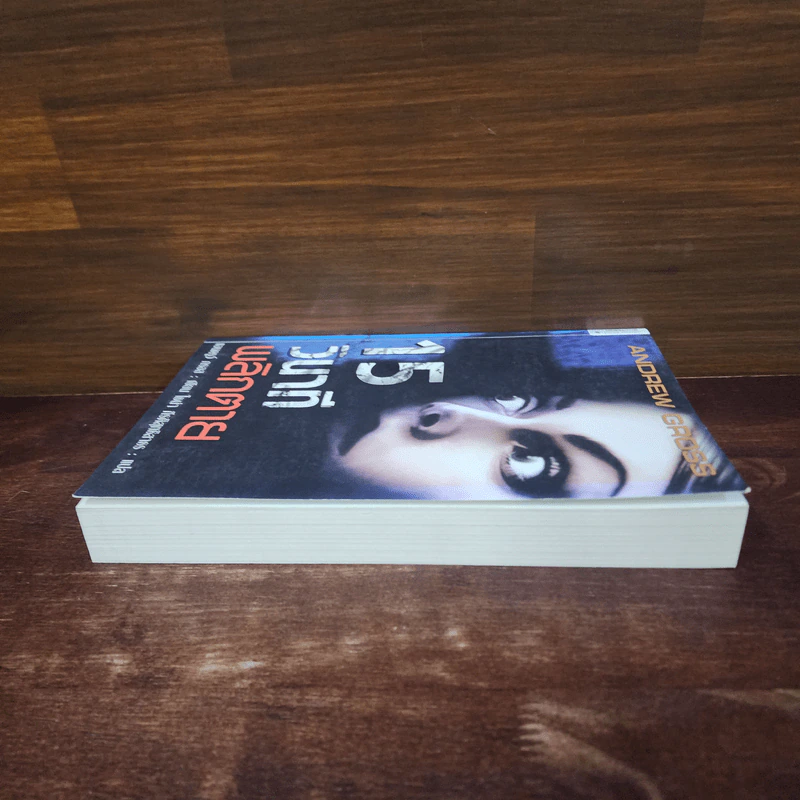 15 วินาทีพลิกตาย - Andrew Gross รูปที่ 3