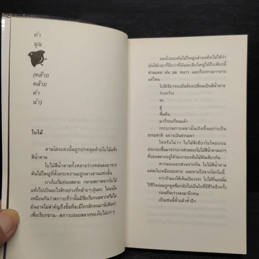 สิ่งที่ค้นพบระหว่างนั่งเฉยเฉย - นิ้วกลม รูปที่ 7