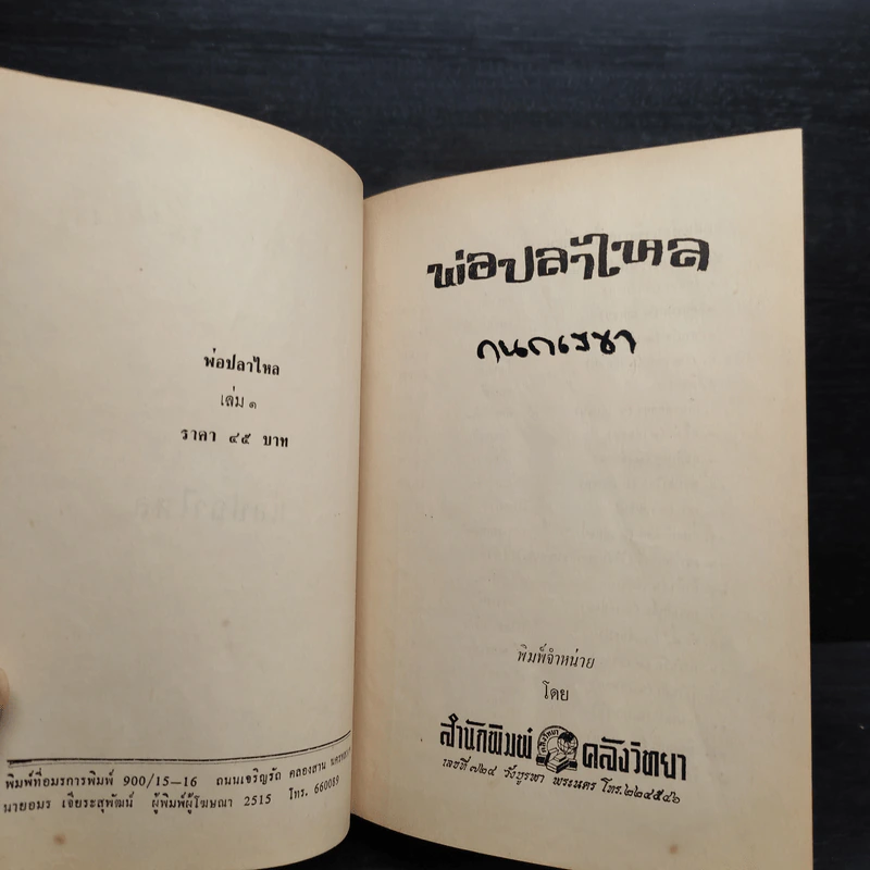 พ่อปลาไหล 2 เล่มจบ - กนกเรขา รูปที่ 6