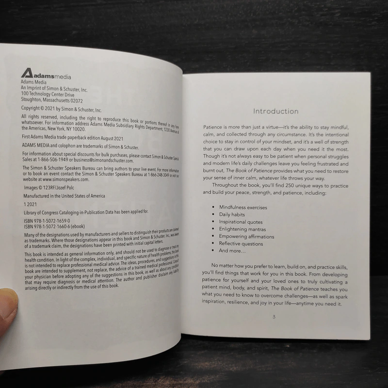 The Book of Patience - Courtney E. Ackerman รูปที่ 5