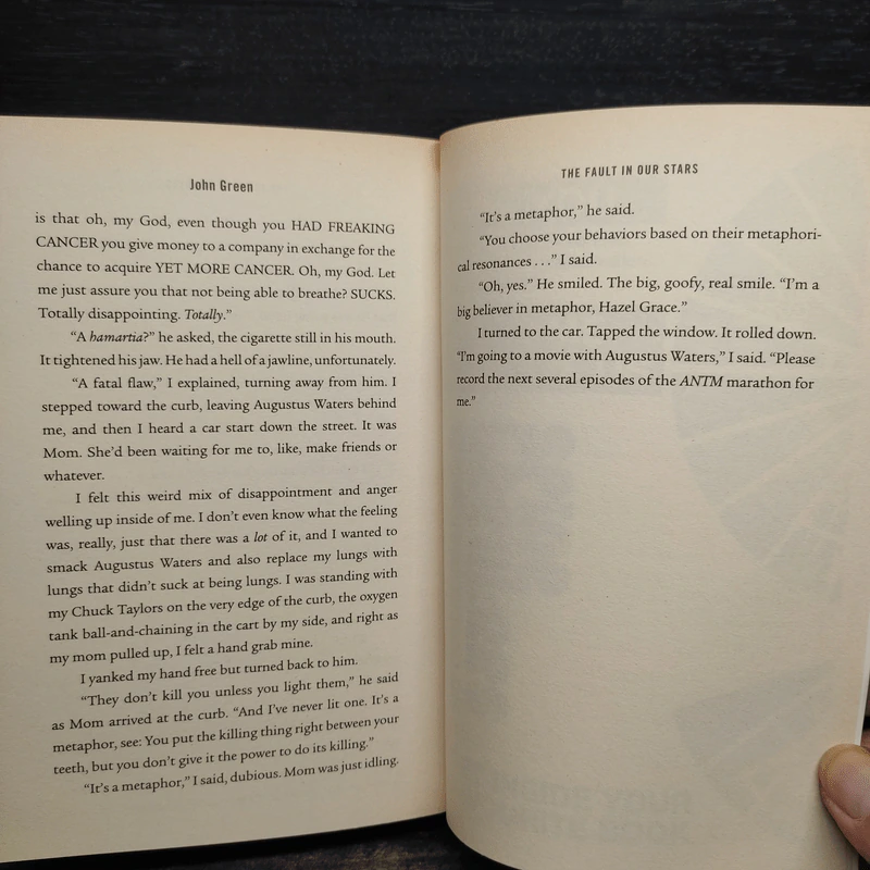 Will Grayson, Will Grayson - John Green, David Levithan รูปที่ 7