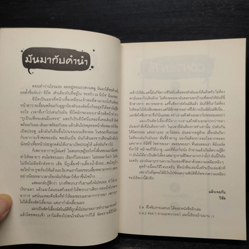 มันมากับความเหมียว - วิชัย รูปที่ 6