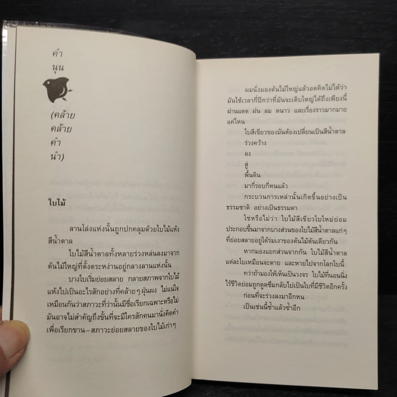 สิ่งที่ค้นพบระหว่างนั่งเฉยเฉย - นิ้วกลม รูปที่ 7