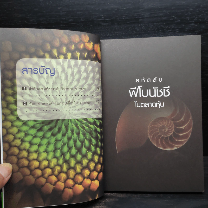 รหัสลับฟีโบนัชชีในตลาดหุ้น - ดม ดอนชัย รูปที่ 6