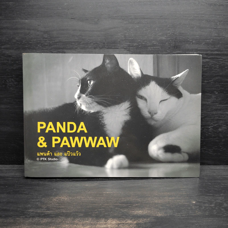 Panda & Pawwaw แพนด้า และ แป๊วแว้ว - องอาจ ชัยชาญชีพ รูปที่ 1